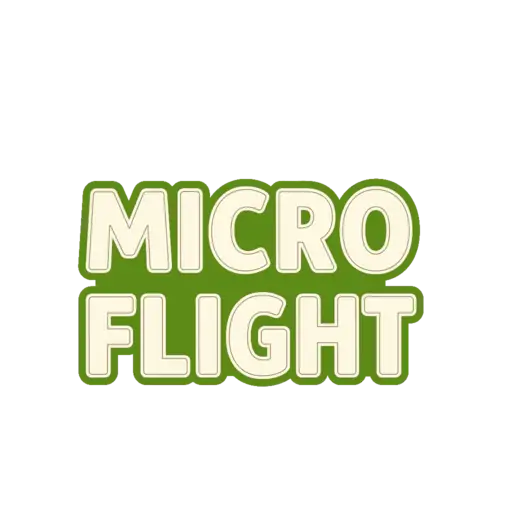 Micro Flight